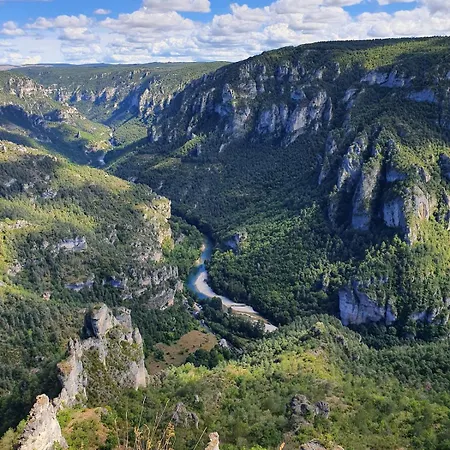 Game Of Tarn Les Vignes
